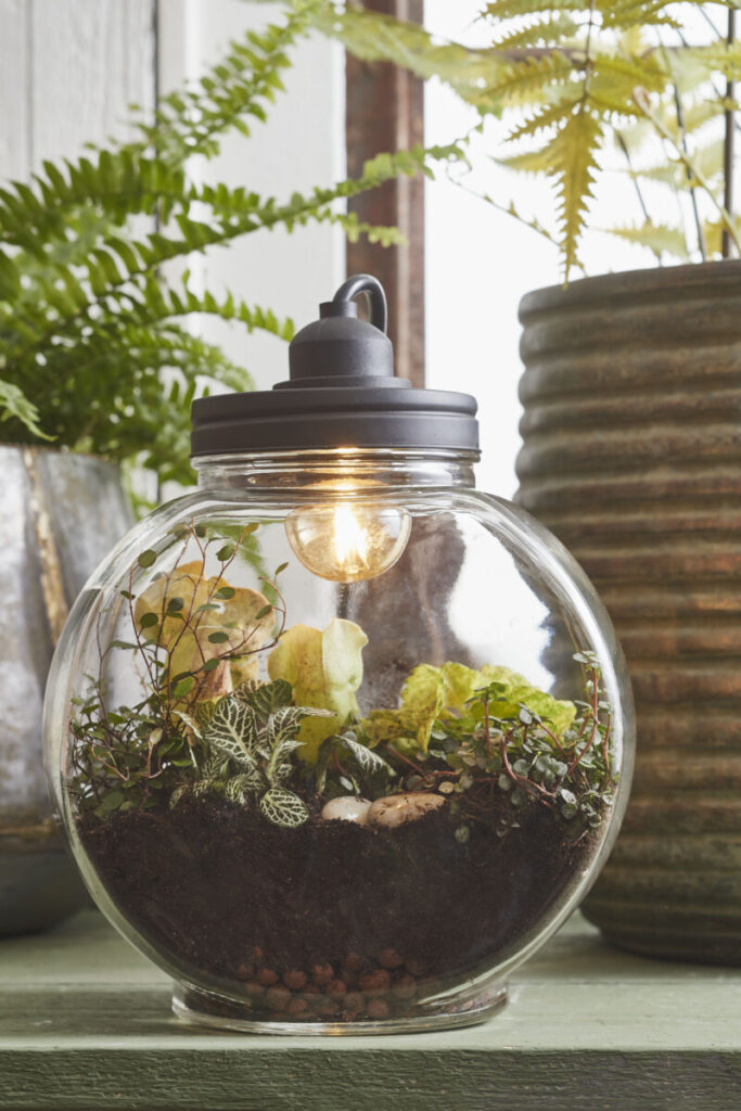 10K Give Away Lamp Terrarium Mica Decorations