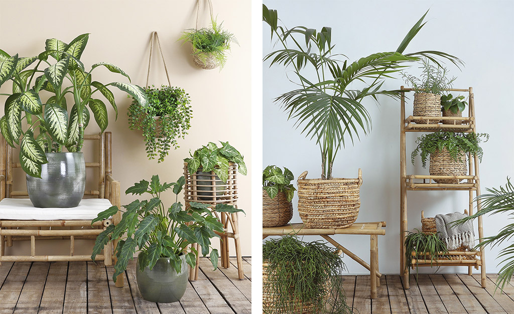 Déco avec du bambou : nos idées pour une décoration tendance