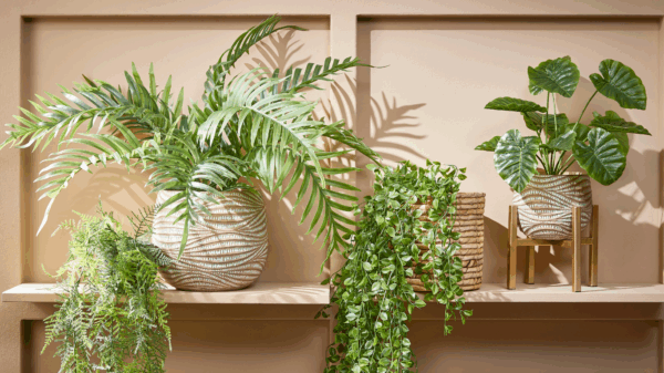 Artificial plants: beautiful, easy, and so close to the real thing